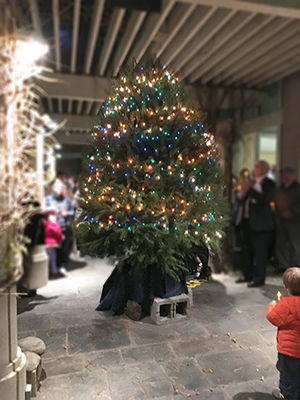 Tree of Light Celebration Draws Hundreds