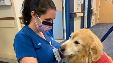 therapy dog and nurse