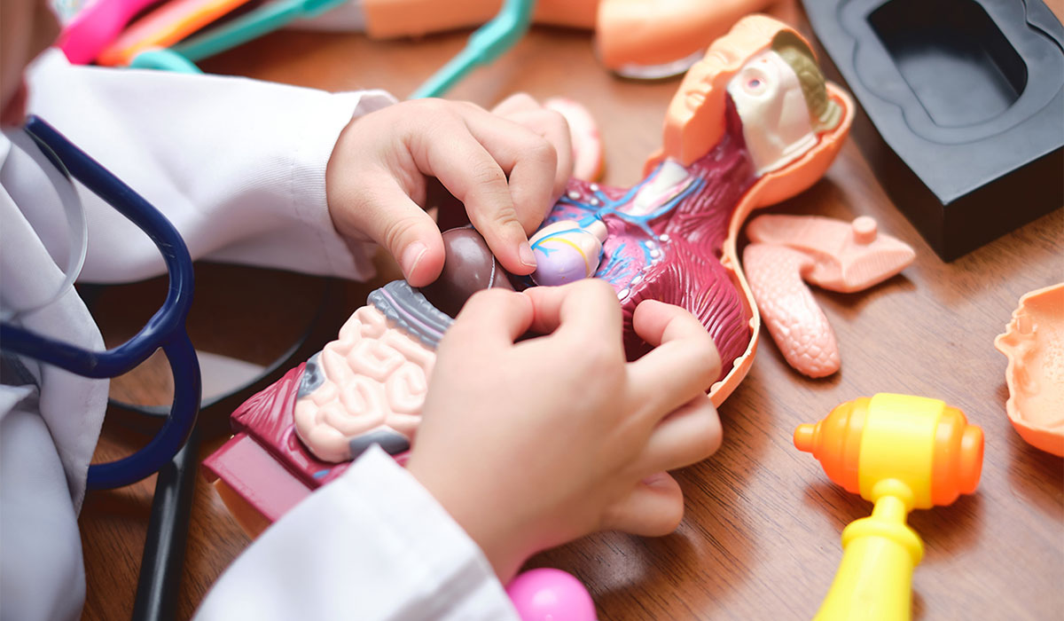 Kids' Health Discovery Day