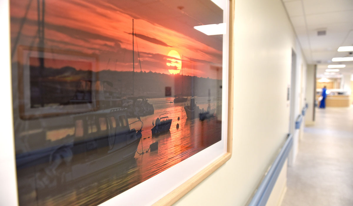 Beautiful photographs of Westerly