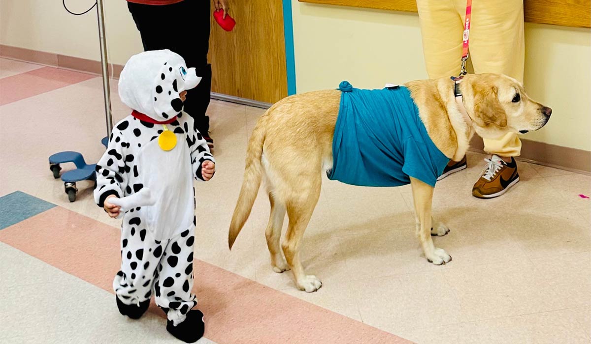 Children's Hospital Halloween Costume Parade 2025 - Photo 4